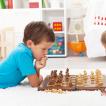 Правила игры в шахматы для начинающих – расстановка шахмат, рокировка в шахматах Правила шахматной игры для начинающих